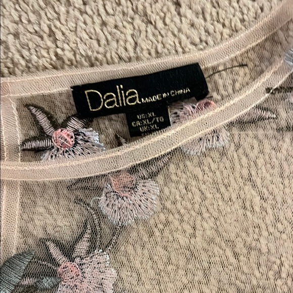 Floral Embroidered Sheer Top - Picture 2 of 4